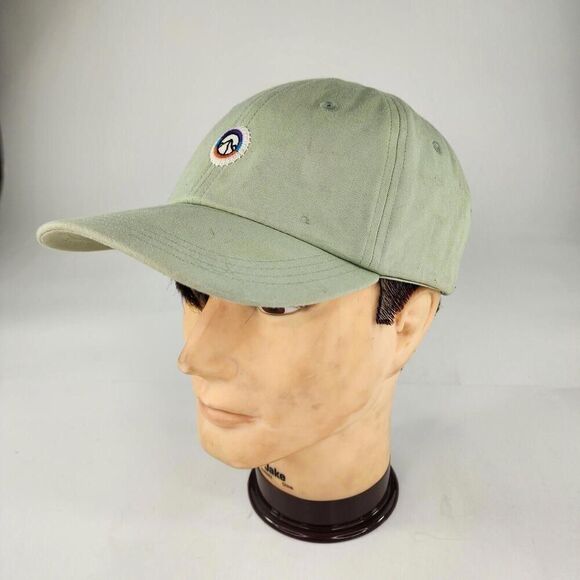 Patagonia Fitz Roy Icon Trad Cap Adjustable Light Green Hats - Picture 7 of 11